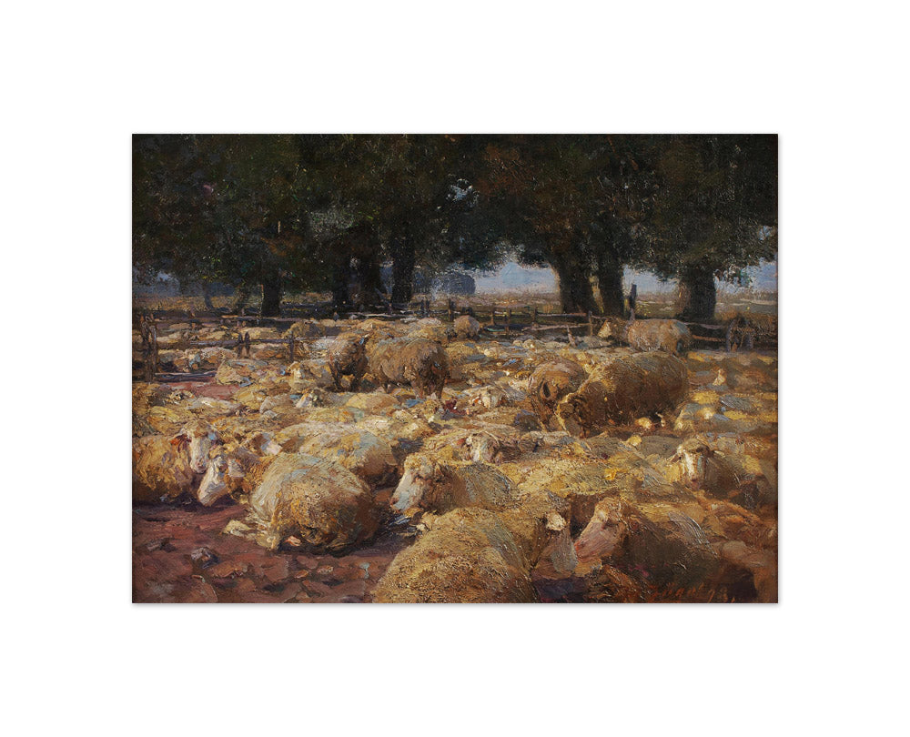 Sheep Park by Heinrich von Zügel - Compact / Full Bleed / No Frame
