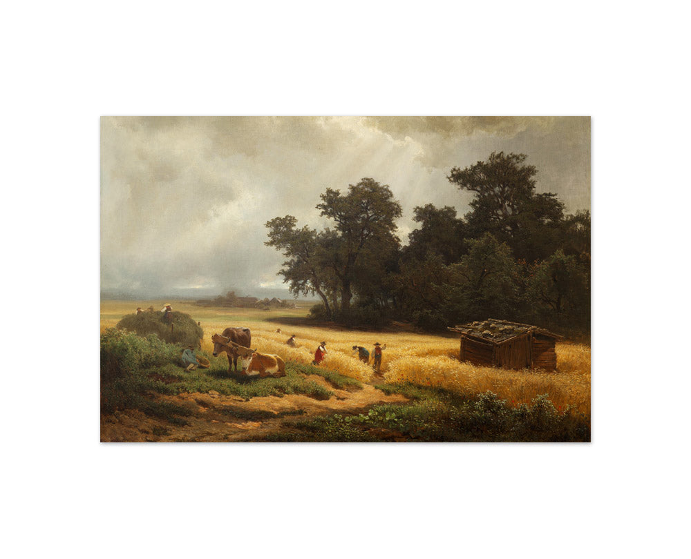 Summer landscape by Melchior Fritsch - Compact / Full Bleed / No Frame