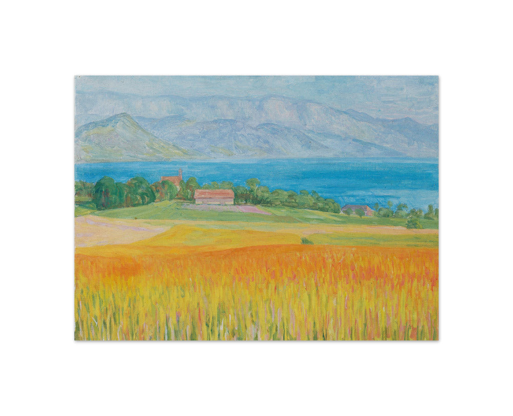 Field of Corn at Attersee by Walther Gamerith - Compact / Full Bleed / No Frame