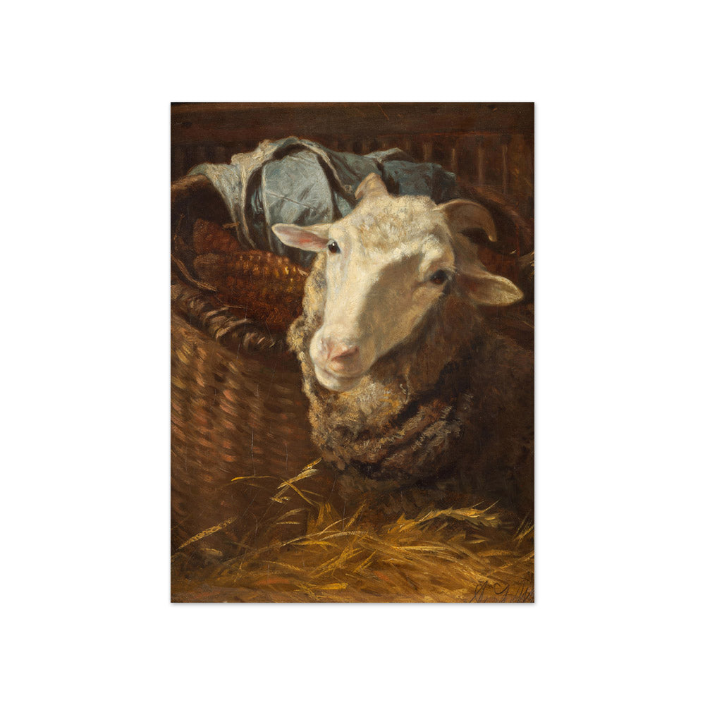 A Sheep by Anton Schrödl - Compact / Full Bleed / No Frame