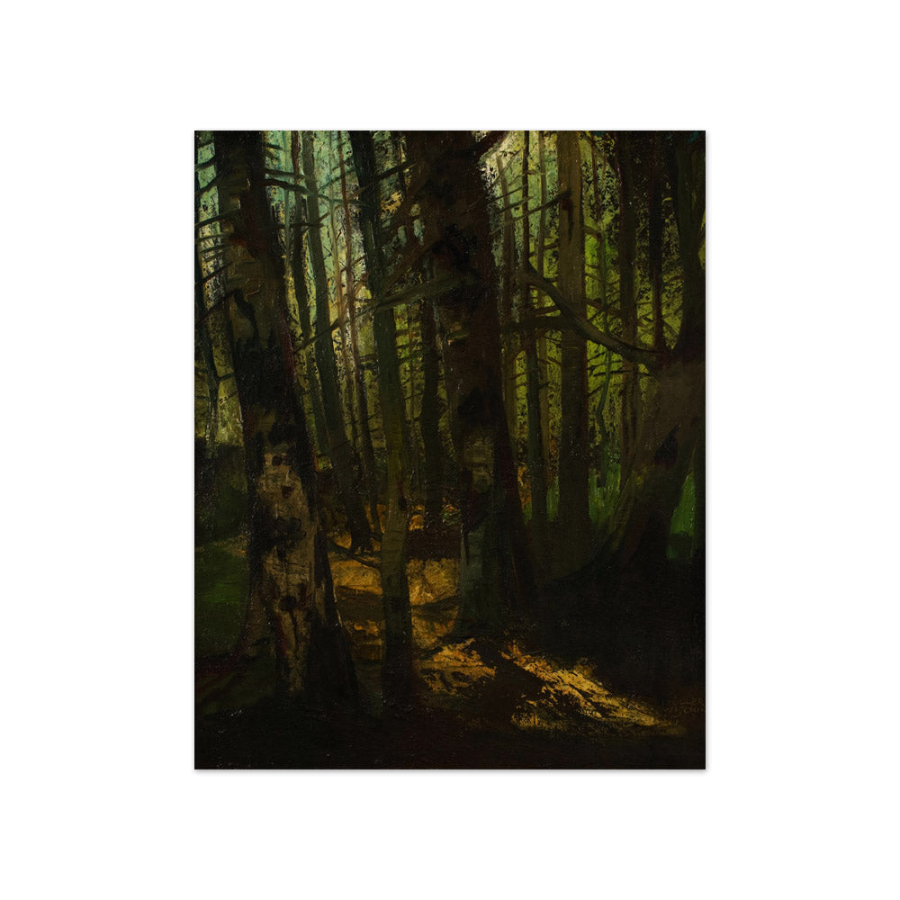 Forest Clearing by Anton Müller-Wischin - Compact / Full Bleed / No Frame