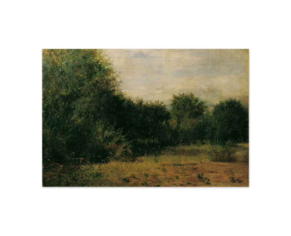 Landscape Study by Sigmund L'Allemand - Compact / Full Bleed / No Frame
