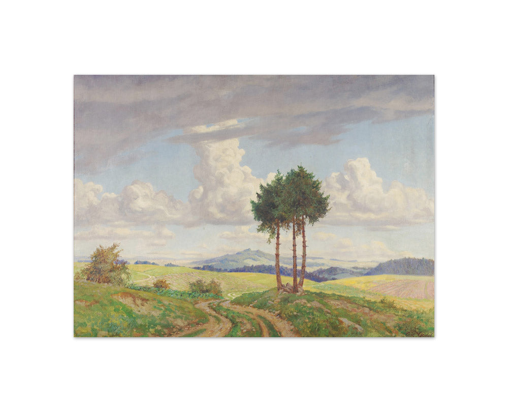 Field path by Carl Gödel - Compact / Full Bleed / No Frame