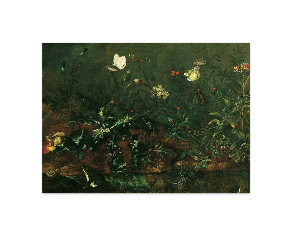 Patch of Grass with Thistle, Frogs, and Dragonfly by Franz Michael Siegmund von Purgau the Elder - Compact / Full Bleed / No Frame