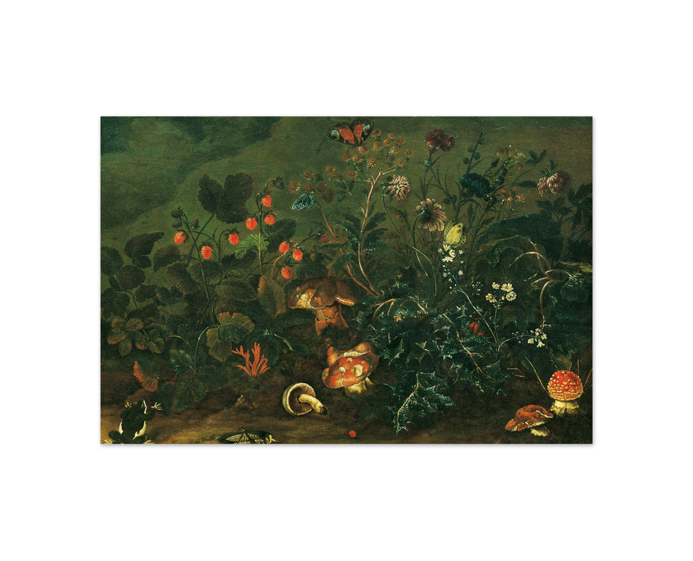 Patch of Grass with Strawberries and Cricket by Franz Michael Siegmund von Purgau the Elder - Compact / Full Bleed / No Frame