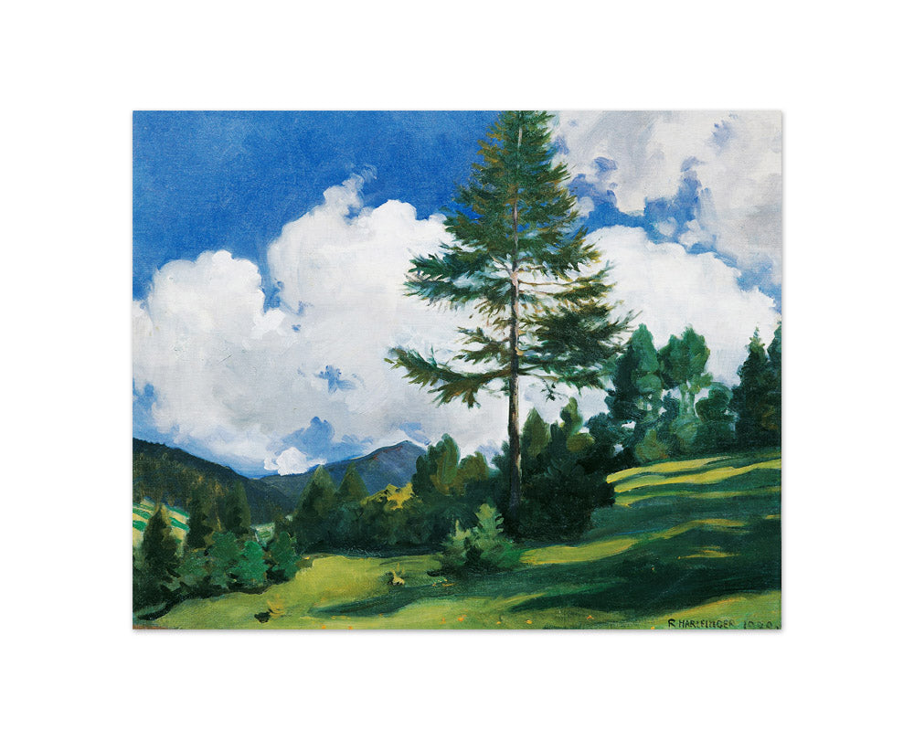 Motive in Toblach by Richard Harlfinger - Compact / Full Bleed / No Frame