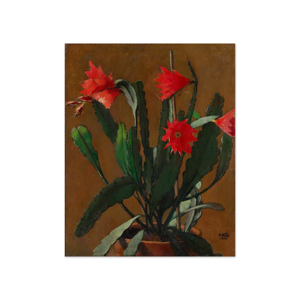 Still Life with Blooming Cactus by Anton Hula - Compact / Full Bleed / No Frame