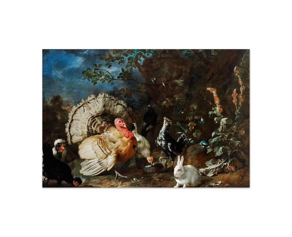 Poultry and Rabbits by Franz Werner Tamm - Compact / Full Bleed / No Frame