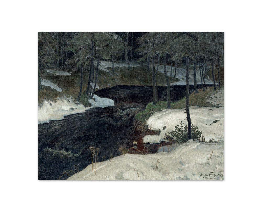 Mountain stream by Stefan Filipkiewicz - Compact / Full Bleed / No Frame