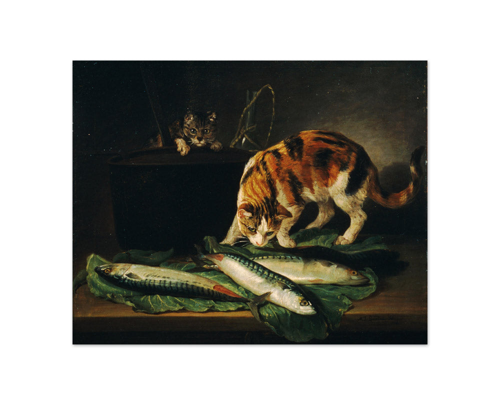 Cats and Fishes by Martin Ferdinand Quadal - Compact / Full Bleed / No Frame