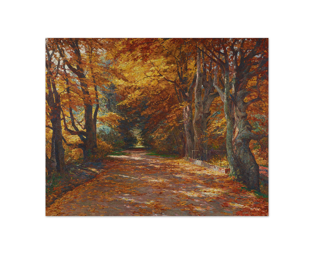 Praterallee in Autumn by Olga Wisinger-Florian - Compact / Full Bleed / No Frame