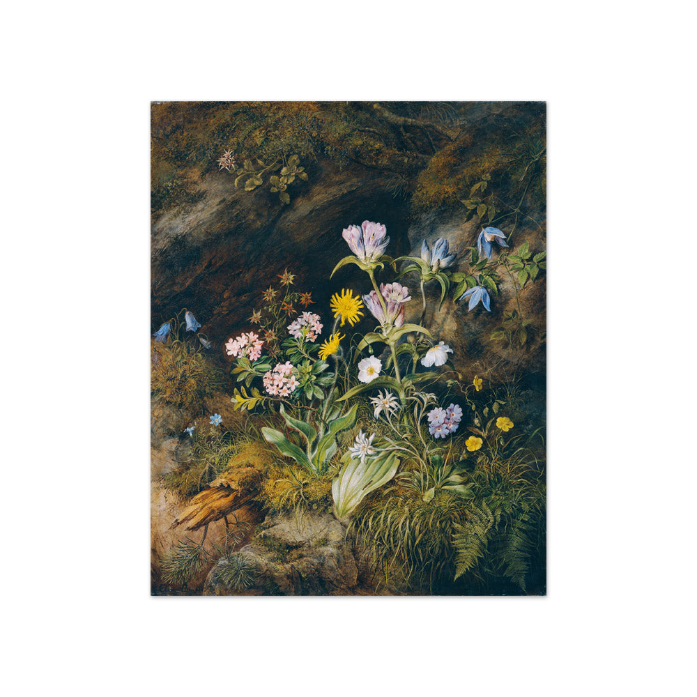 Alpine Flora by Theodor Josef Petter - Compact / Full Bleed / No Frame