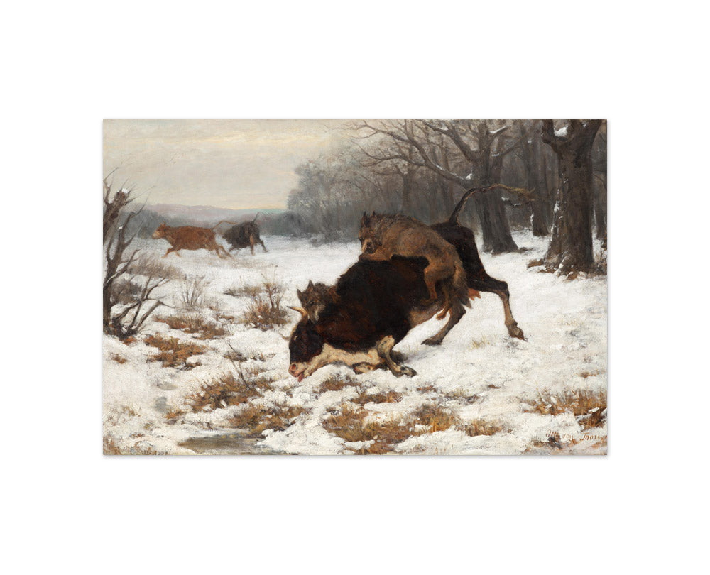 A cow gets attacked by wolves by Otto von Thoren - Compact / Full Bleed / No Frame