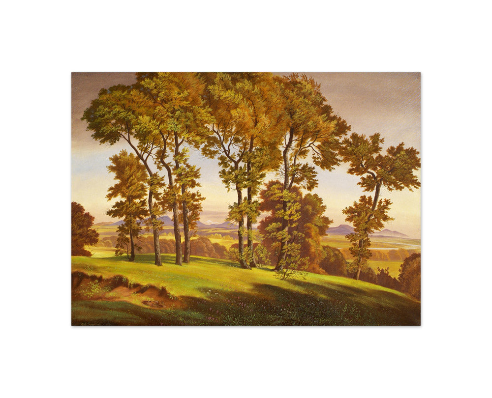 Landscape with Trees by Emil Ernst Heinsdorff - Compact / Full Bleed / No Frame