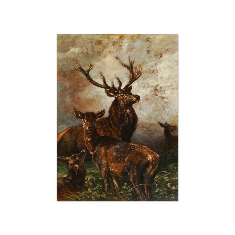 Stags and Does by Franz Xaver von Pausinger - Compact / Full Bleed / No Frame