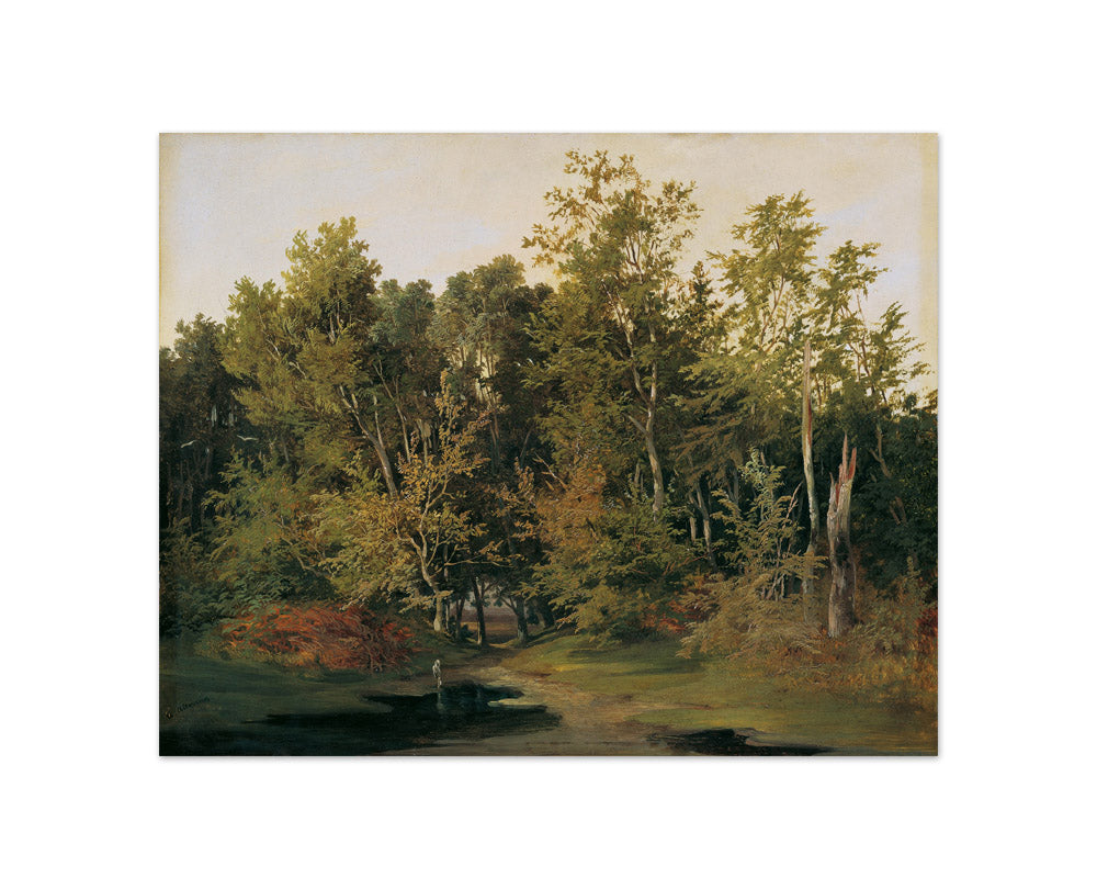 Forest landscape in Lower Austria by Anton Altmann der Jüngere - Compact / Full Bleed / No Frame