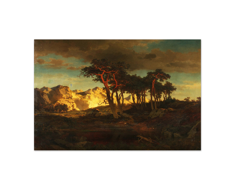 Red Pines by Joseph Brunner - Compact / Full Bleed / No Frame