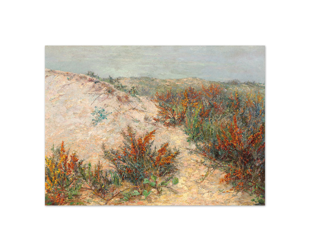 Dunes with sea buckthorn at Knokke by Emilie Mediz-Pelikan - Compact / Full Bleed / No Frame