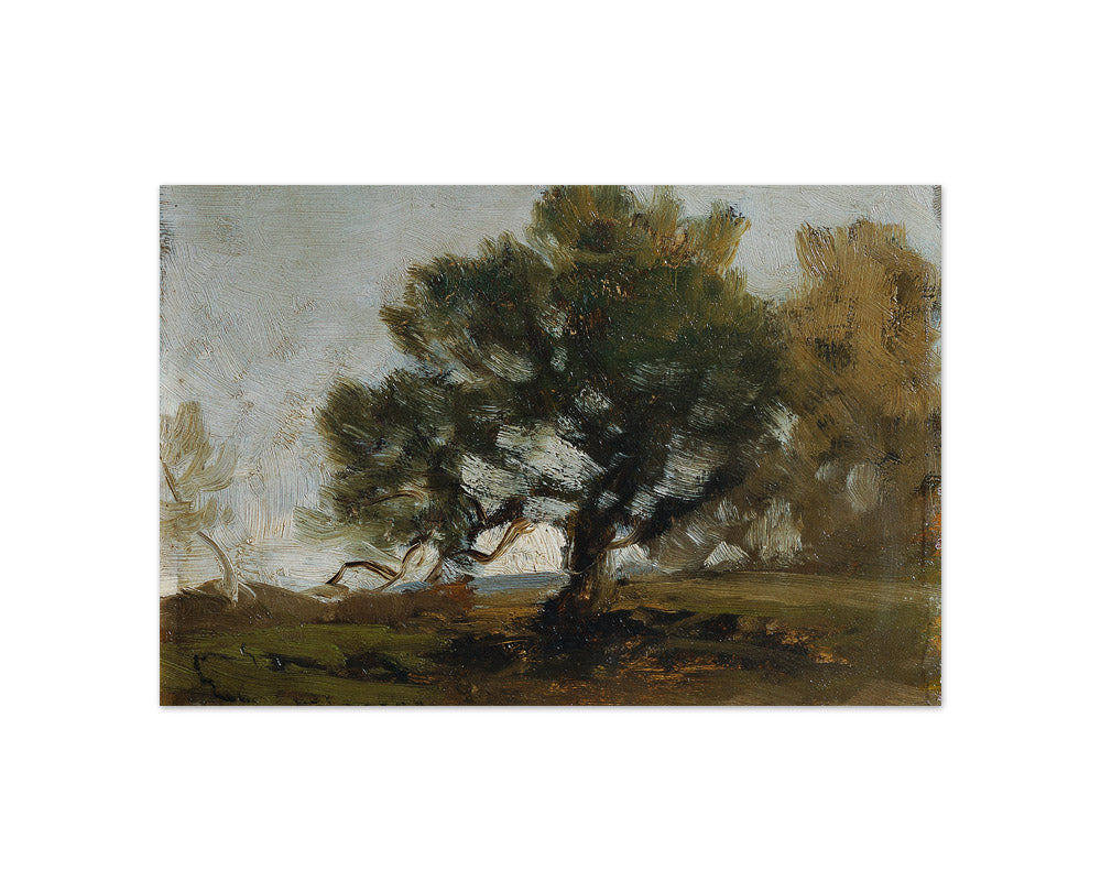 Landscape by Ludwig Willroider - Compact / Full Bleed / No Frame