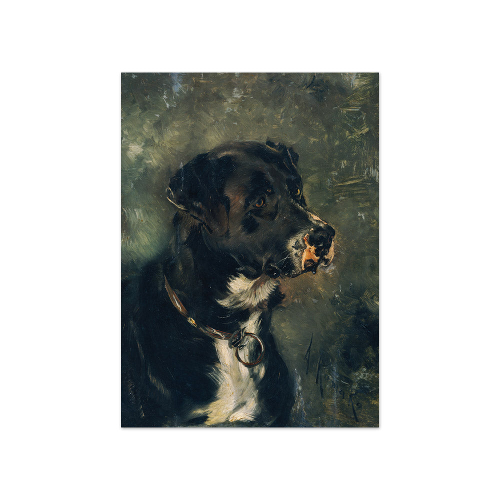 Head of a Butcher Dog by Anton Romako - Compact / Full Bleed / No Frame