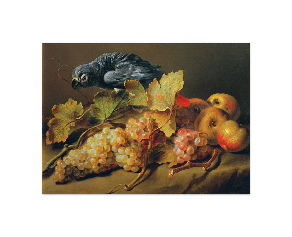 Still life with Parrot and Grapes by Erasmus von Engert - Compact / Full Bleed / No Frame