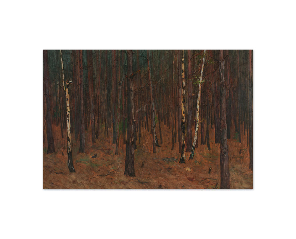 Forest Interior by Hans Tichy - Compact / Full Bleed / No Frame