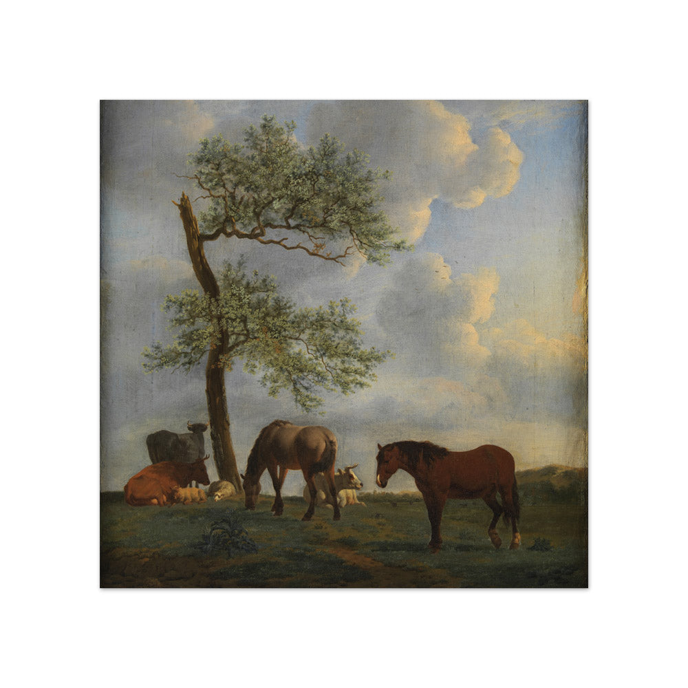 Pasture with Horses and Cattle by Adriaen van de Velde - Compact / Full Bleed / No Frame