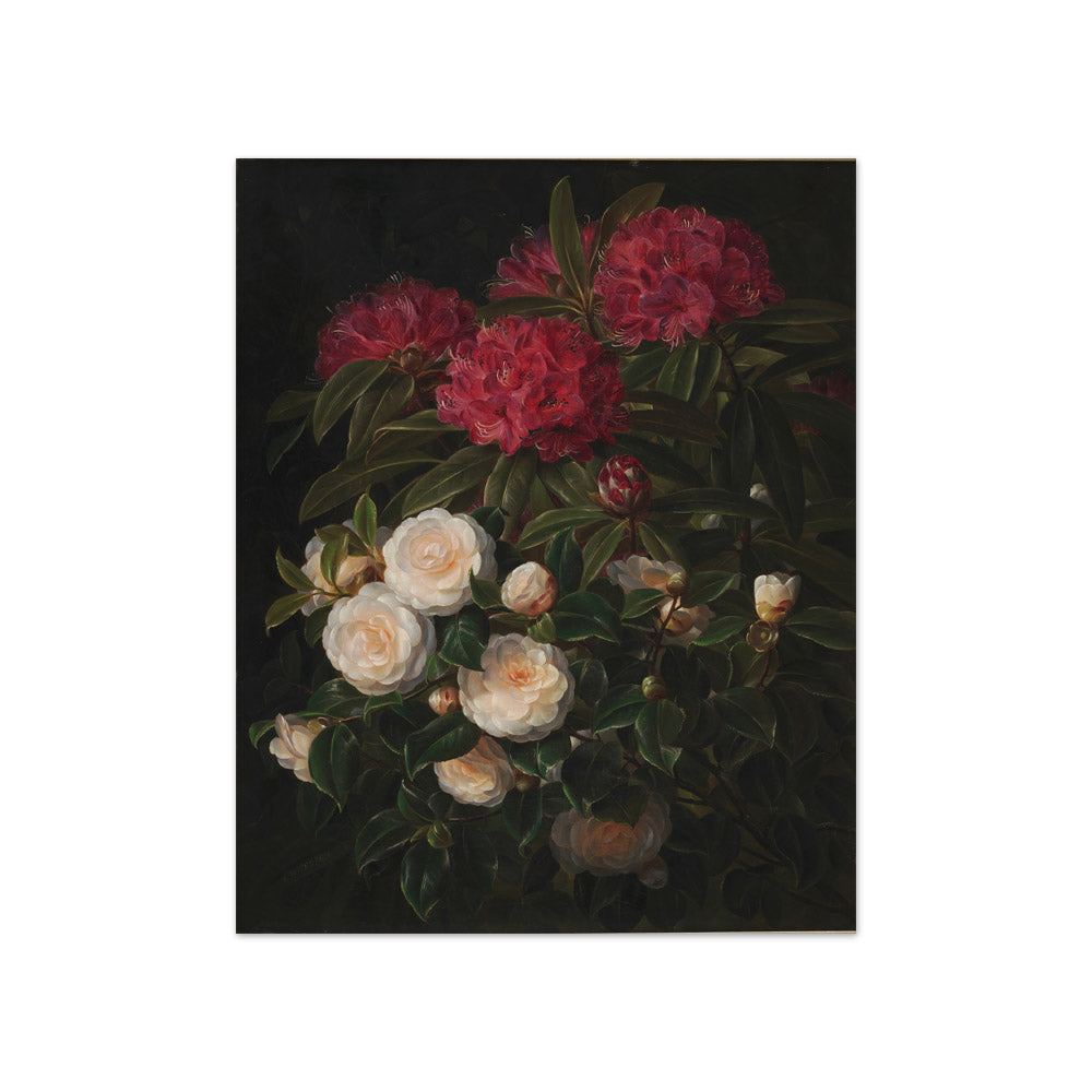 Camelias and Rhododendrons by J.L. Jensen - Compact / Full Bleed / No Frame