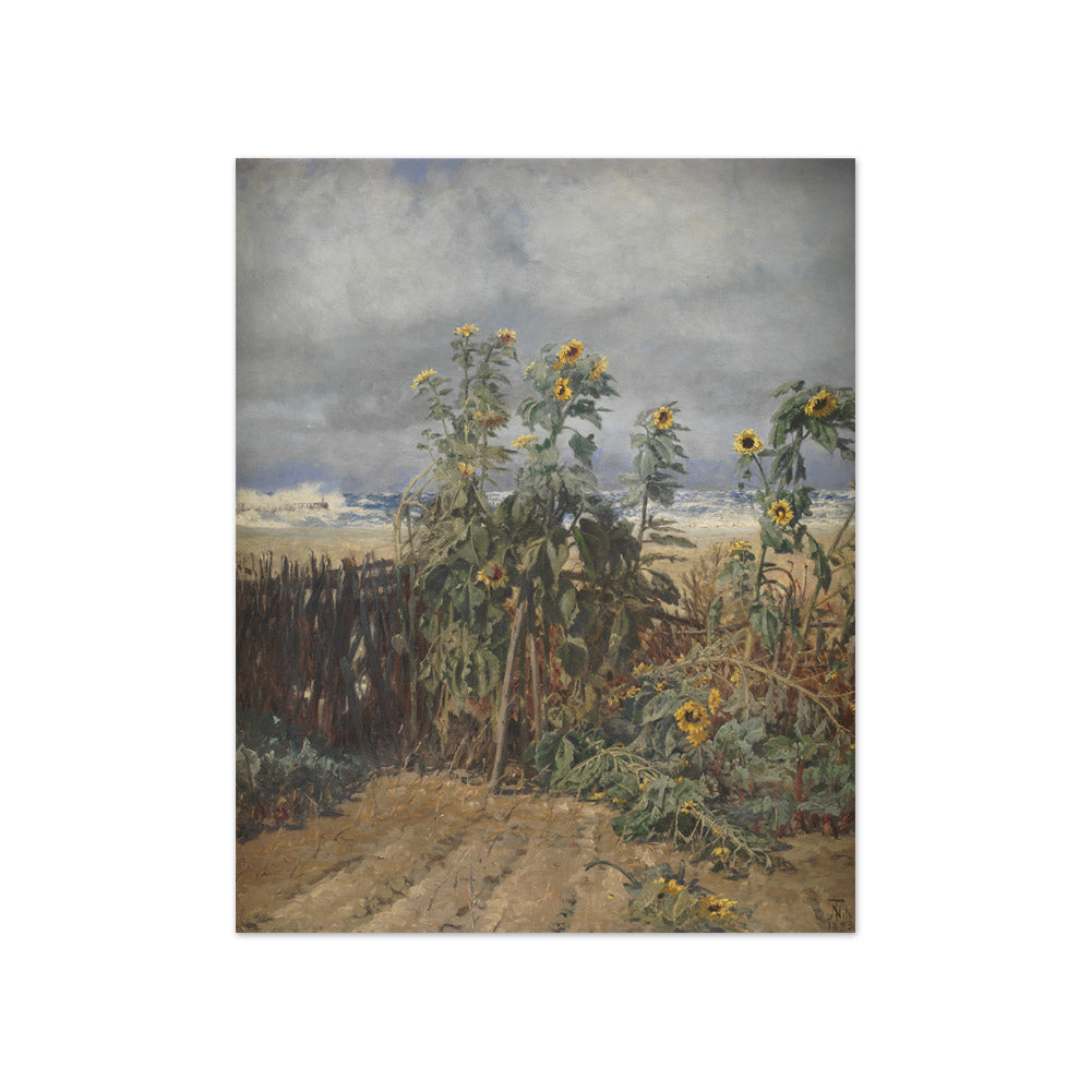 Sunflowers on a Beach by Thorvald Niss - Compact / Full Bleed / No Frame