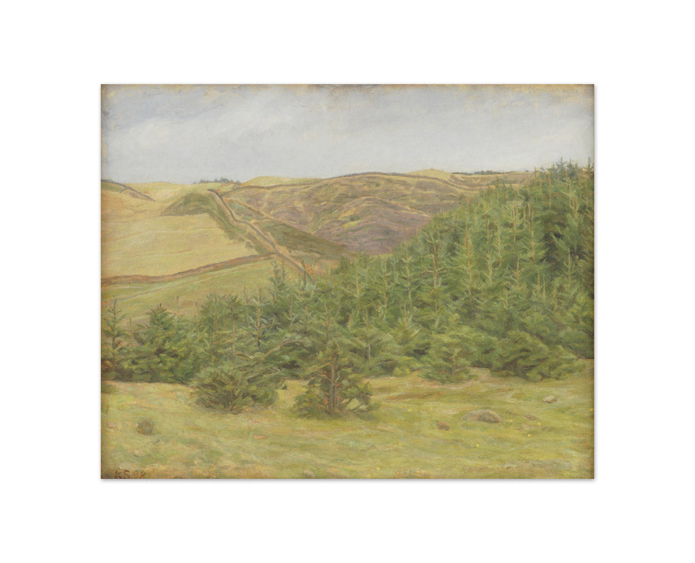 Svanninge Hills, Funen by Karl Schou - Compact / Full Bleed / No Frame