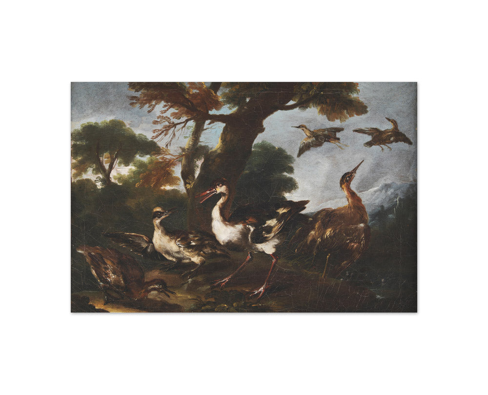 Landscape with Birds by Angelo Maria Crivelli - Compact / Full Bleed / No Frame