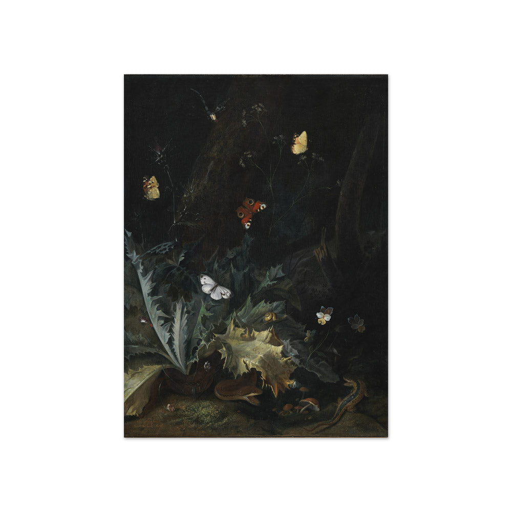 A Forest Floor with a Thistle, a Snake, a Lizard and Butterflies by Otto Marseus van Schrieck - Compact / Full Bleed / No Frame