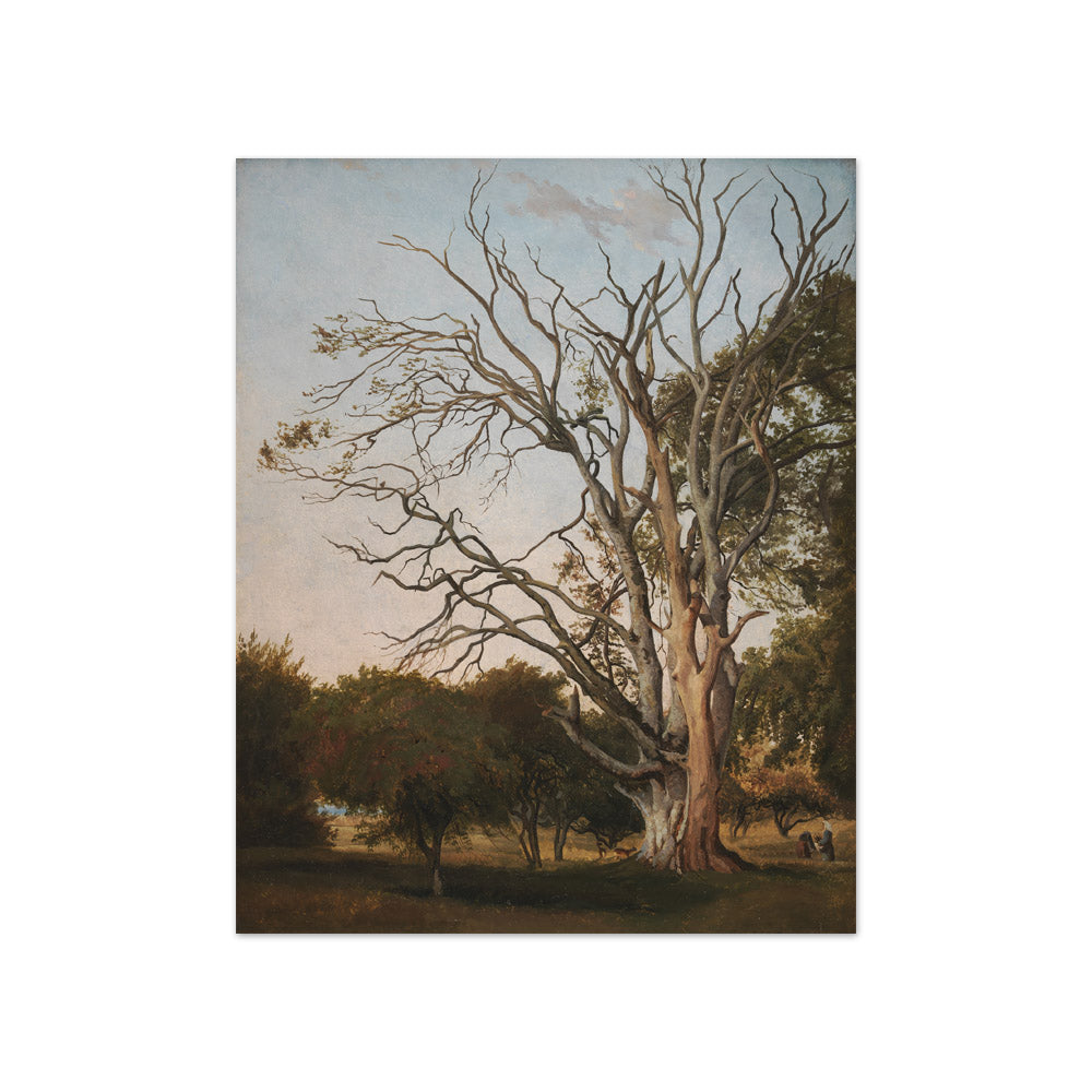 Woodland Scene with a Dead Tree by Hermann Carmiencke - Compact / Full Bleed / No Frame