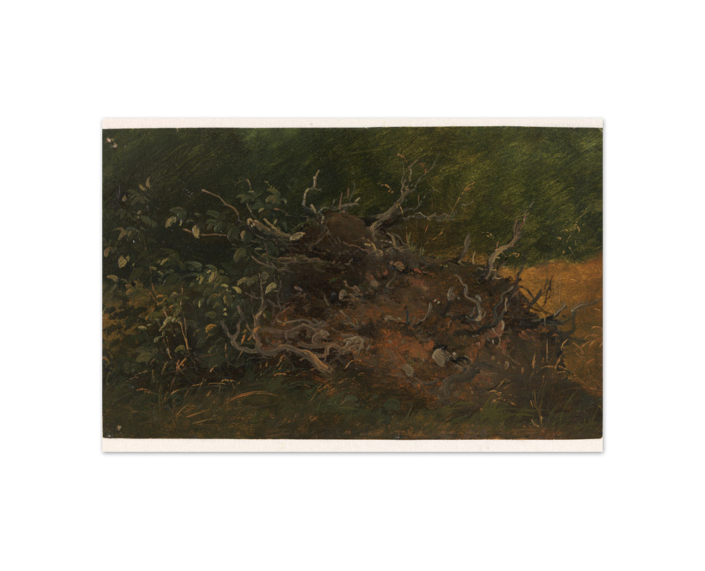 Study of a Tree Stump by Vilhelm Petersen - Compact / Full Bleed / No Frame