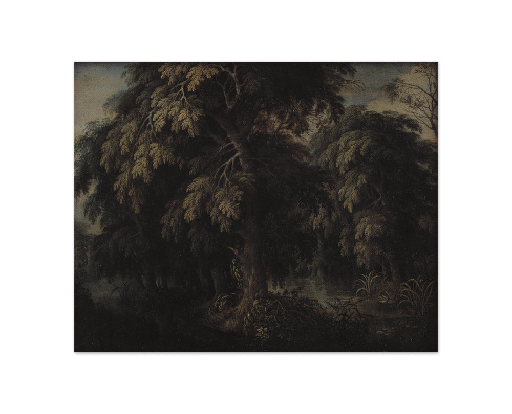 Wooded Landscape by Alexander Keirincx - Compact / Full Bleed / No Frame