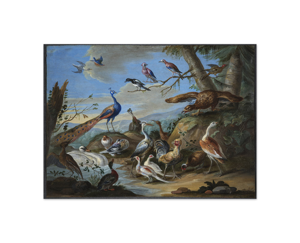 A Hilly Landscape with a Peacock, an Eagle and other Birds by Jan van Kessel the Elder - Compact / Full Bleed / No Frame