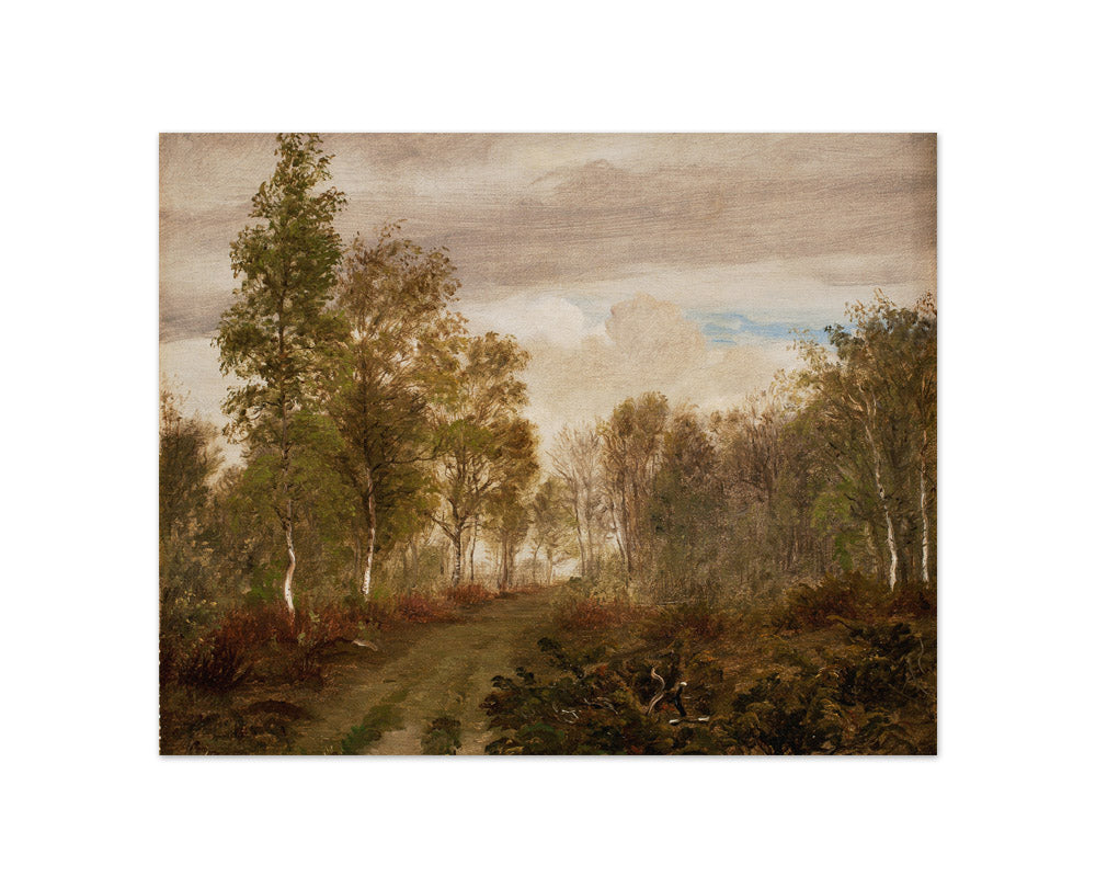 Birch trees on Læsø after rain by P.C. Skovgaard - Compact / Full Bleed / No Frame