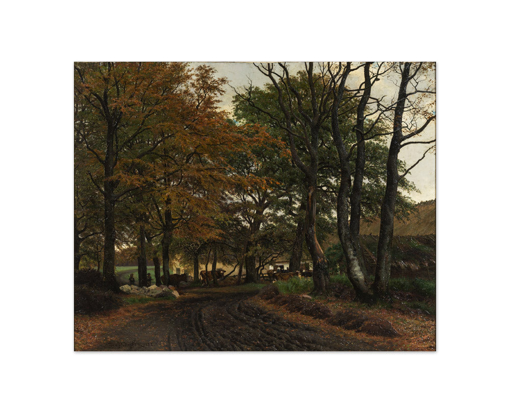 A run-up road under old trees. by Viggo Pedersen - Compact / Full Bleed / No Frame