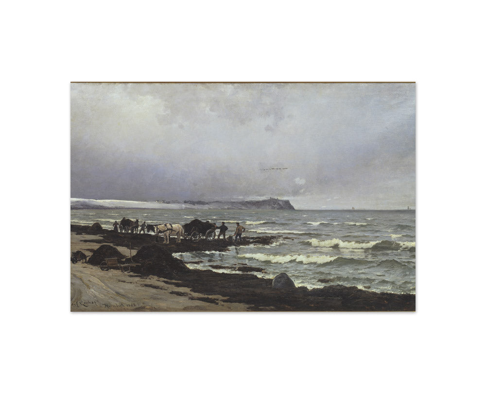 Seaweed is washed up on Hornbæk Beach by Carl Locher - Compact / Full Bleed / No Frame