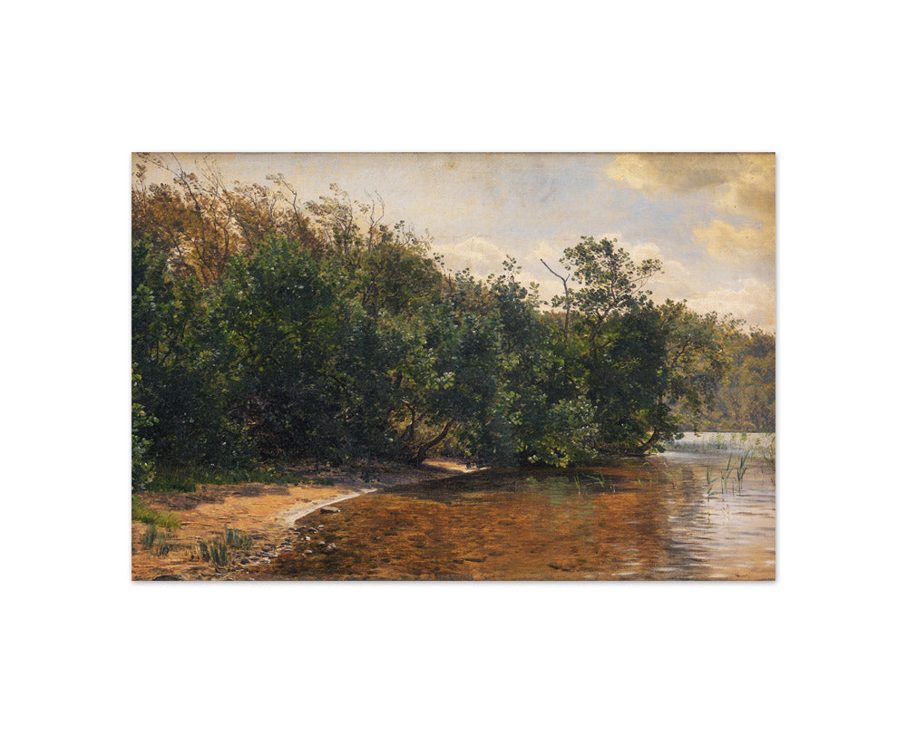 Elm bush by Almind Lake by Janus la Cour - Compact / Full Bleed / No Frame
