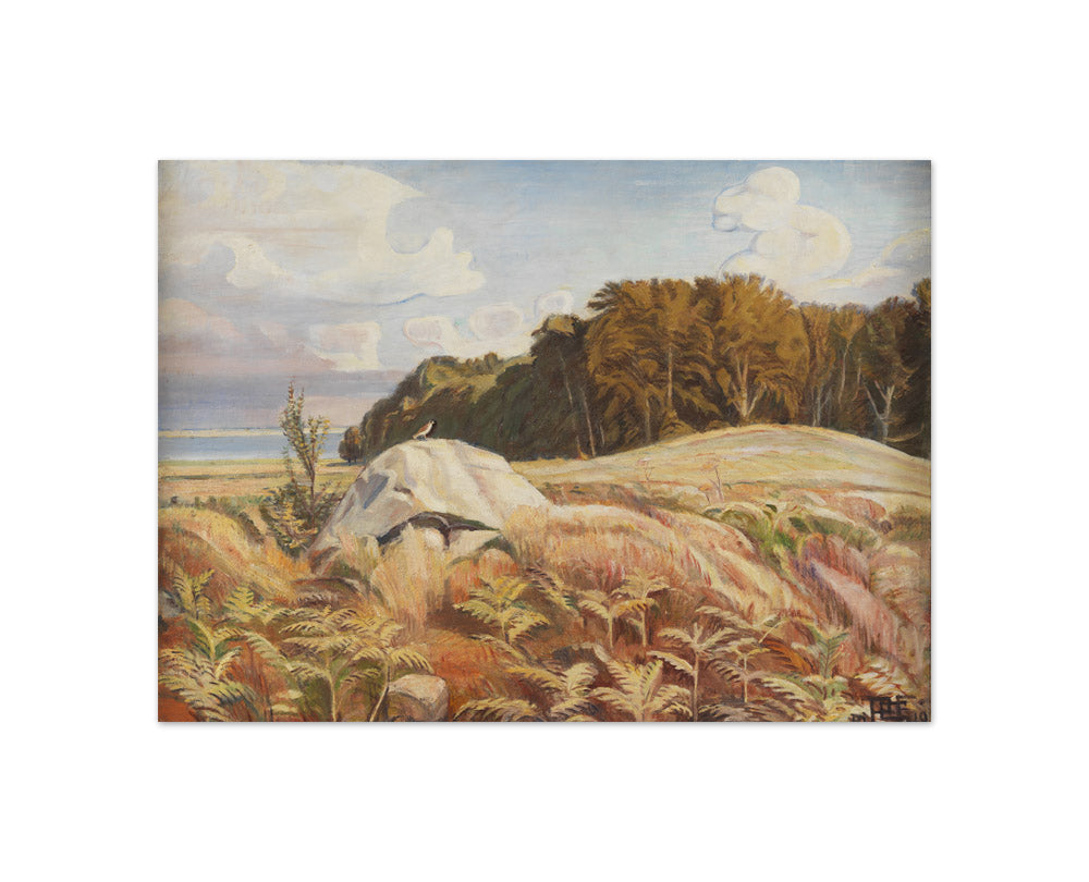Stendyss at the edge of the forest. Dyrnæs by Poul S. Christiansen - Compact / Full Bleed / No Frame