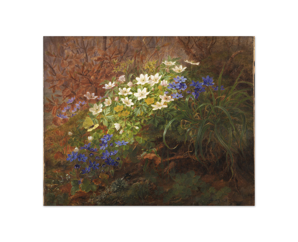 Anemoner by Anthonie Christensen - Compact / Full Bleed / No Frame
