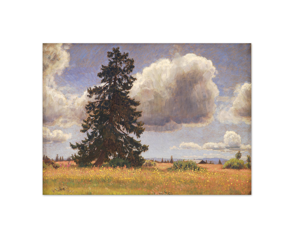 Spruce Tree in a Summer Pasture. Norway by Niels Skovgaard - Compact / Full Bleed / No Frame
