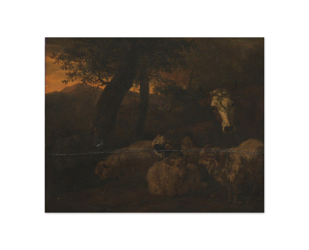 Flock of Sheep in a Wood by Jacob van der Does the Elder - Compact / Full Bleed / No Frame