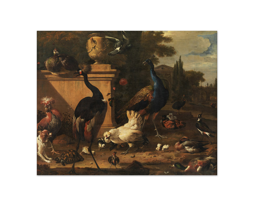 Hen Run at a Manor by Melchior d' Hondecoeter - Compact / Full Bleed / No Frame