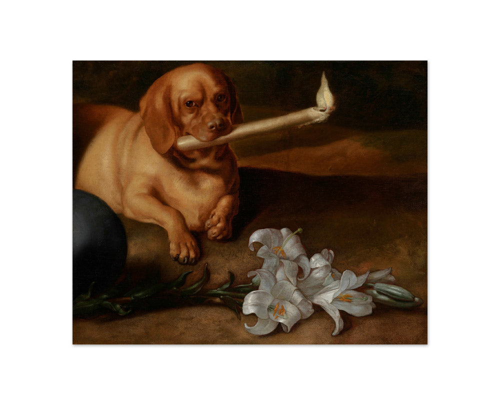 Dog with a Candle and Lilies by Juan de Pareja - Compact / Full Bleed / No Frame