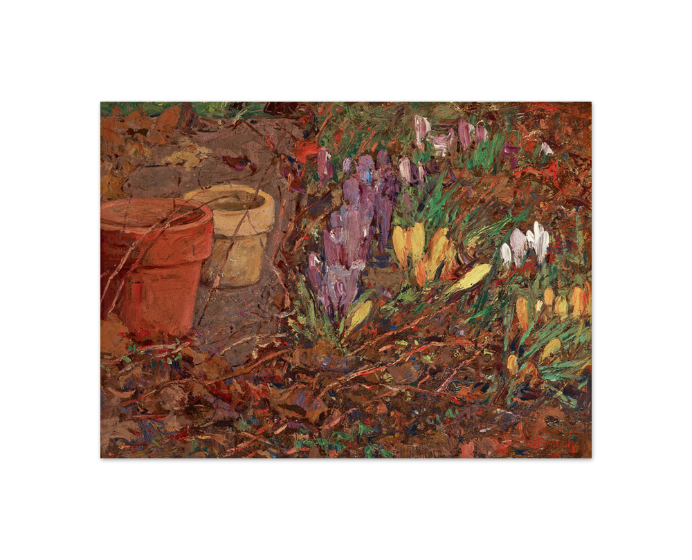 Crocuses by William J. Forsyth - Compact / Full Bleed / No Frame