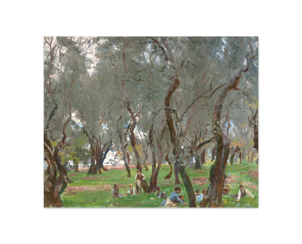 The Olive Grove by John S. Sargent - Compact / Full Bleed / No Frame