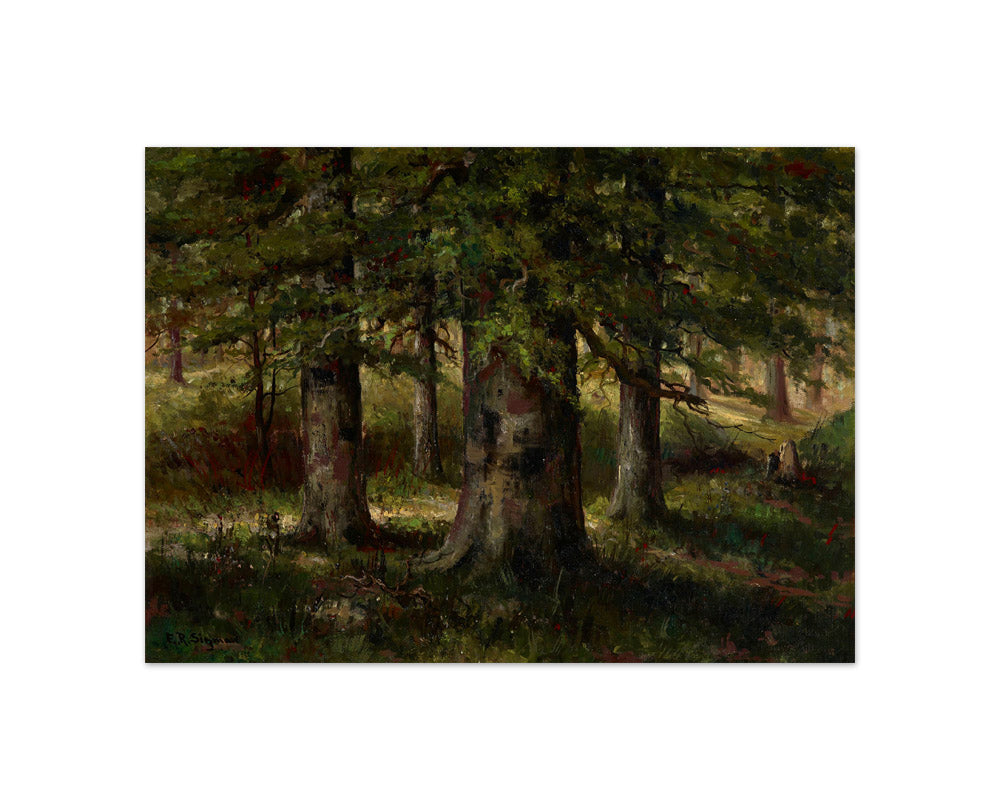 Landscape with Beech Trees by Edward R. Sitzman - Compact / Full Bleed / No Frame