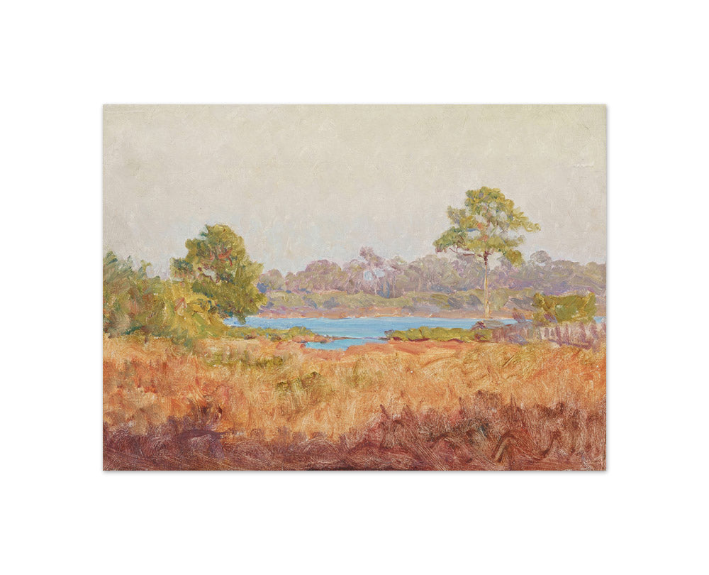 Field Study, Florida by J. Ottis Adams - Compact / Full Bleed / No Frame